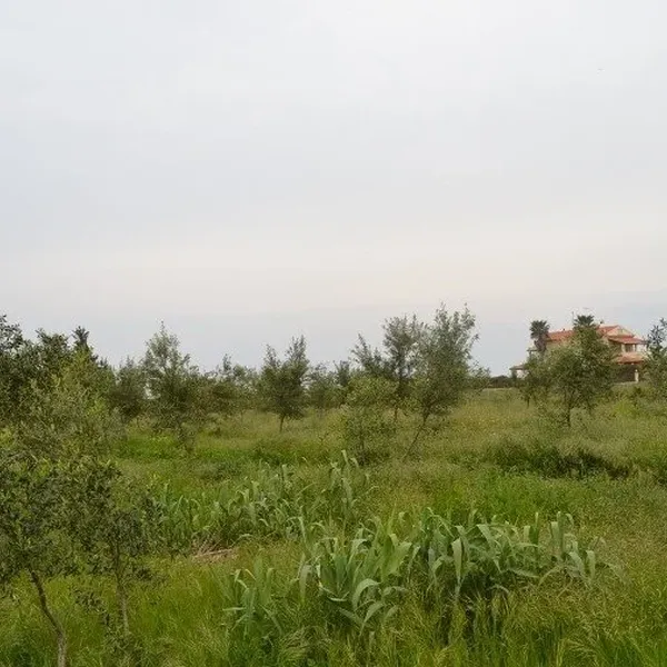 Земельный участок в Корфу, фото 1