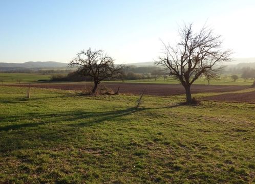 Земельный участок в Лангензельбольд