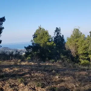 Земельный участок в Kassandra Municipality, фото 3