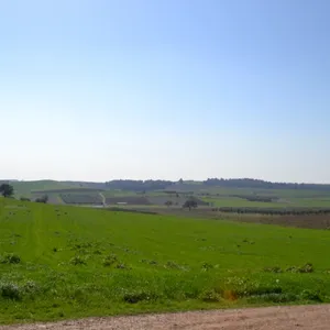 Земельный участок в Kassandra Municipality, фото 2