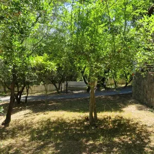 Отдельный дом в Ситониа, фото 5