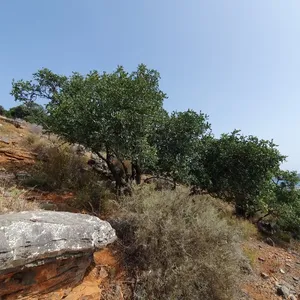 Земельный участок в Элунда, фото 4
