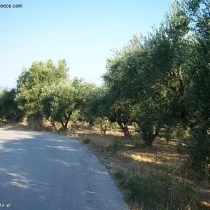 Земельный участок в Трагаки, фото 2