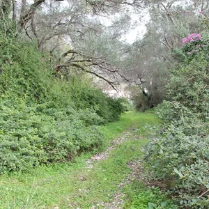 Земельный участок в Corfu, фото 3