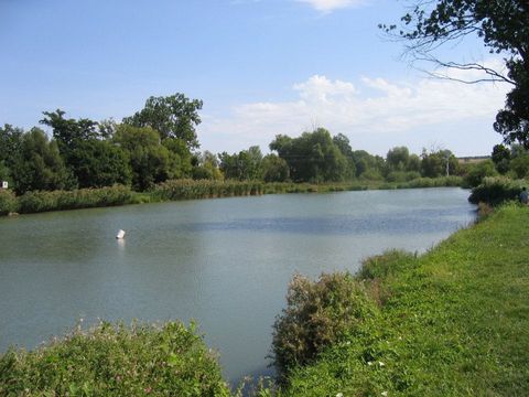 Коммерческая недвижимость в Веспрем