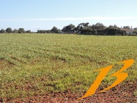 Земельный участок в Пальма