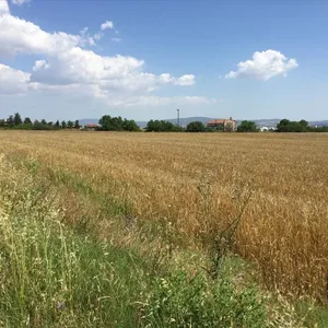 Земельный участок в Терми, фото 3