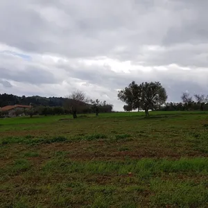 Земельный участок в Kassandra Municipality, фото 4