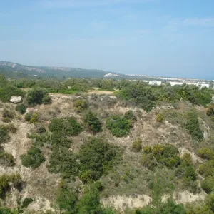 Квартира в Эсентепе, фото 5