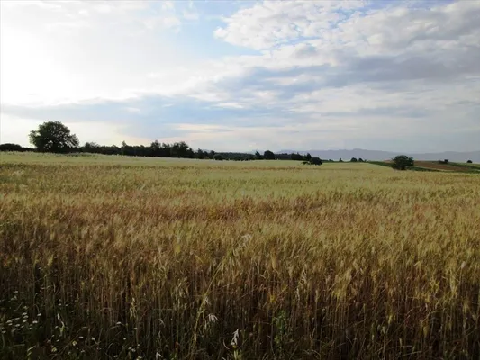 Земельный участок в Kassandra Municipality