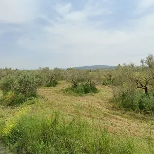 Земельный участок в Терми, фото 3