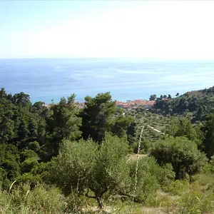Земельный участок в Kassandra Municipality, фото 2