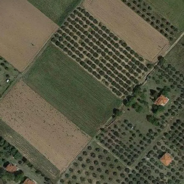 Земельный участок в Аристотелус, фото 2