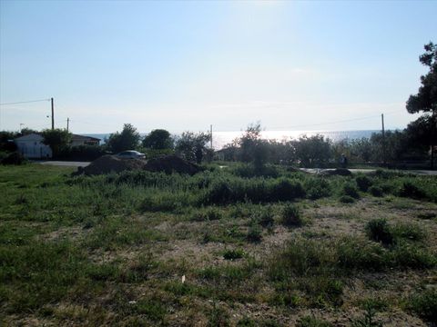 Земельный участок в Тасос