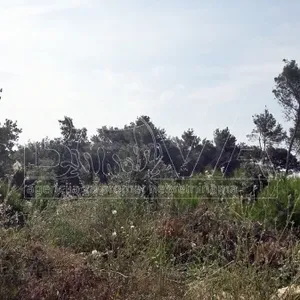 Земельный участок в Вир, фото 3