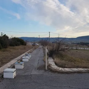 Земельный участок в Терми, фото 4