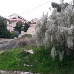 Земельный участок в Рафина, фото 2
