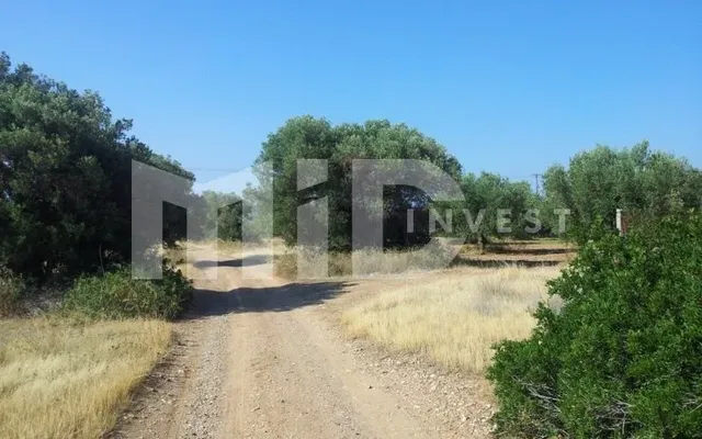Земельный участок в Полигирос