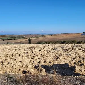 Земельный участок в Kassandra Municipality, фото 3