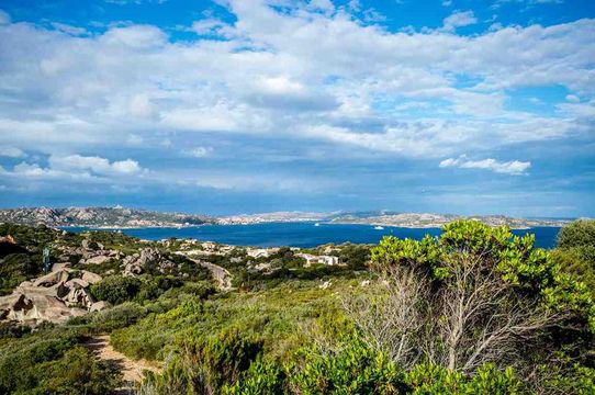 Земельный участок в Палау