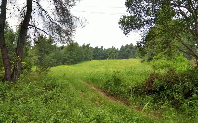 Земельный участок в Kassandra Municipality