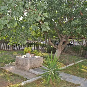 Таунхаус в Лагониси, фото 2