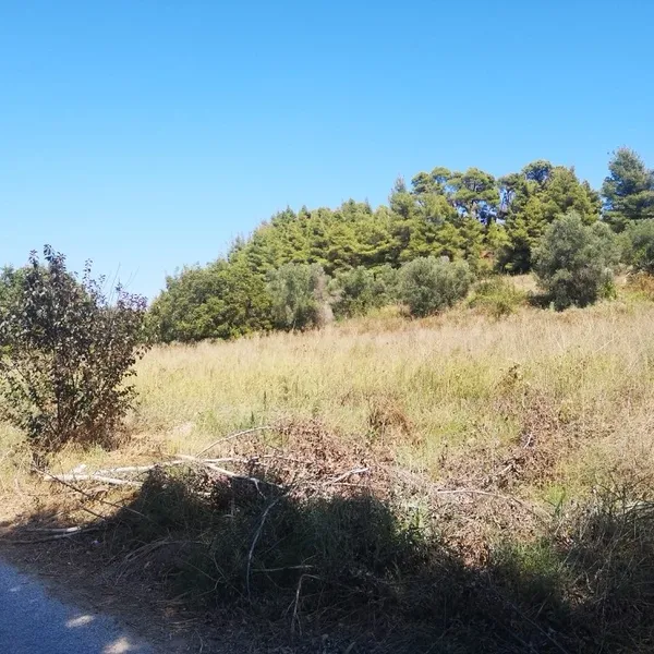 Земельный участок в Kassandra Municipality, фото 1