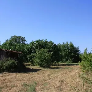 Земельный участок в Тасос, фото 3