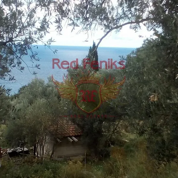 Земельный участок в Режевичи, фото 1