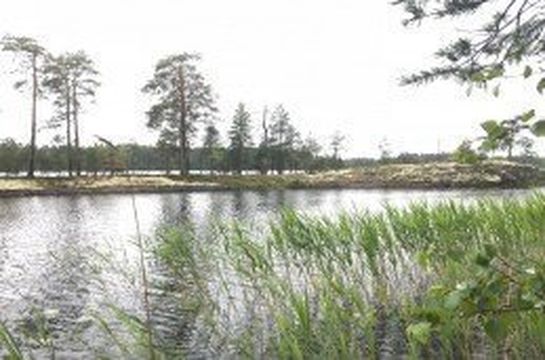 Земельный участок в Руоколахти