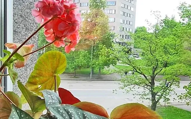 Квартира в Нарва
