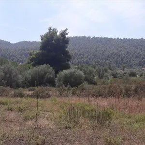 Земельный участок в Ситониа, фото 2