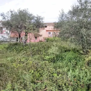 Земельный участок в Corfu, фото 4