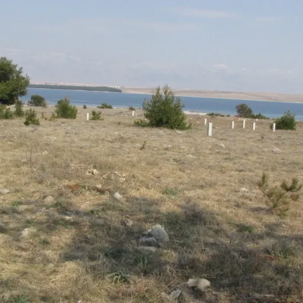 Земельный участок в Вир, фото 1