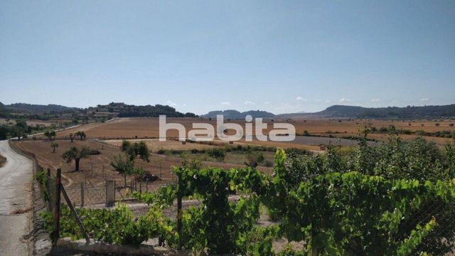 Земельный участок в Монтуири