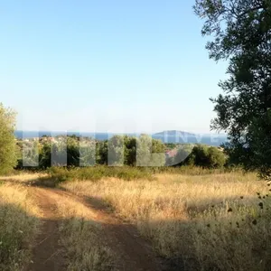 Земельный участок в Ситониа, фото 4