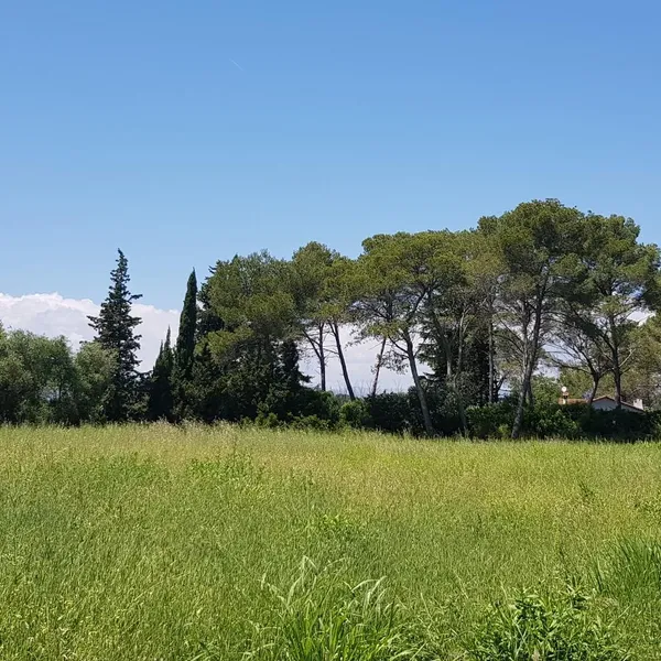 Вилла в Валбонн, фото 2