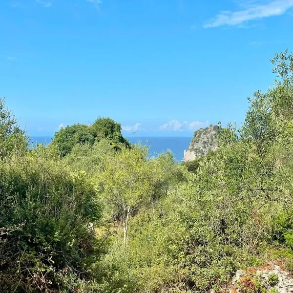 Земельный участок в Corfu, фото 1
