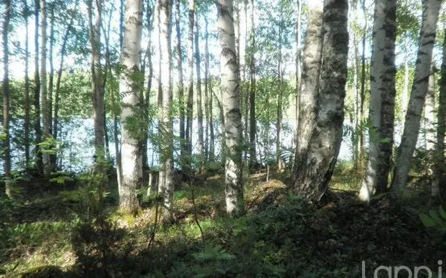 Земельный участок в Керимяки