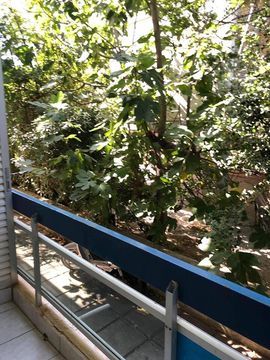 Квартира в Рафина