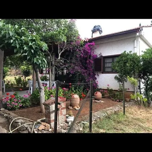 Отдельный дом в Рафина, фото 1
