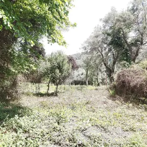 Земельный участок в Corfu, фото 3