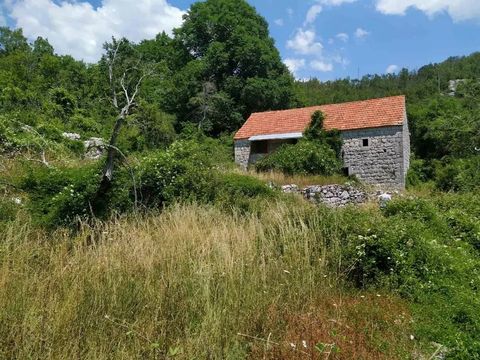 Земельный участок в регион Цетине