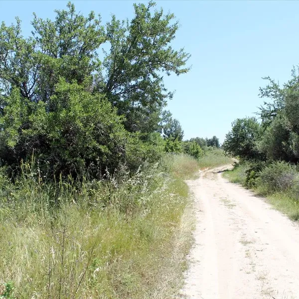 Земельный участок в Kassandra Municipality, фото 1