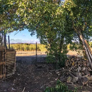 Бунгало в Андалусия, фото 5
