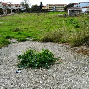 Земельный участок в Kassandra Municipality, фото 3