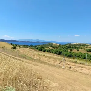 Земельный участок в Aristotle University of Thessaloniki, фото 2