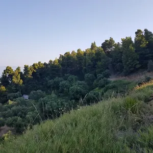 Земельный участок в Kassandra Municipality, фото 2