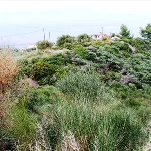 Земельный участок в Kassandra Municipality, фото 4