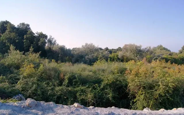 Земельный участок в Утеха